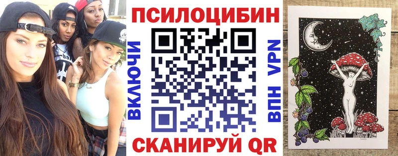 Псилоцибиновые грибы GOLDEN TEACHER  даркнет сайт  Пойковский 